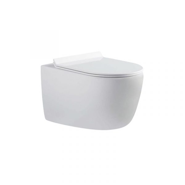 Bravat Wall-hung Toilet Rimless C21172UW-ENG